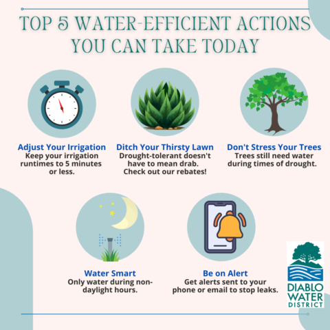 Top 5 Water Efficient Actions